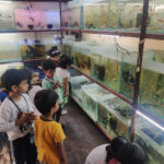 Visit to Krupa Aquarium- Toddlers and Year 1
