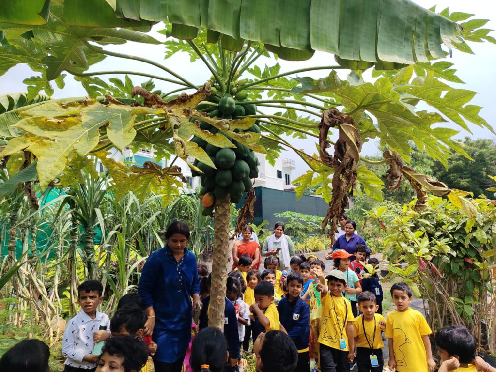 Field Trip (Year 2 & 3)