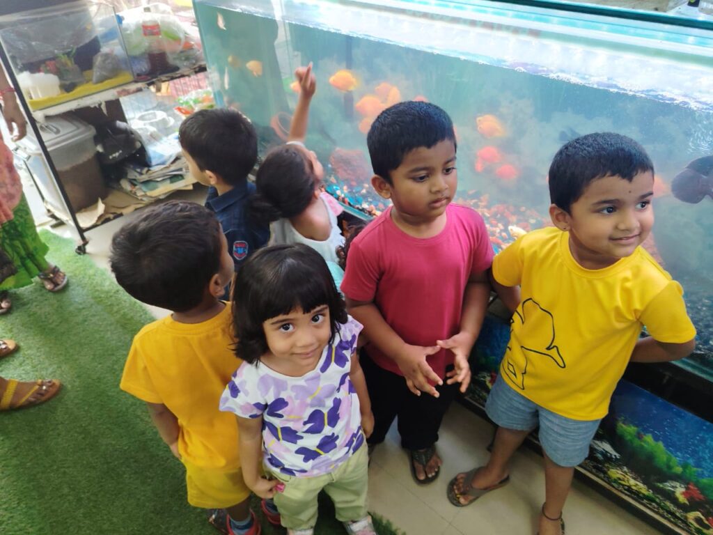 Toddlers – Field Trip Aquarium
