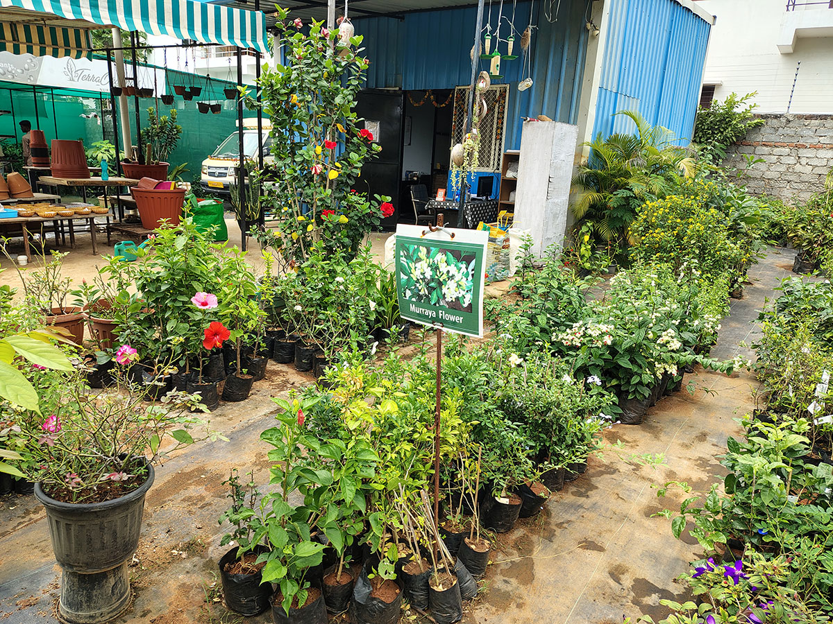 Visit a fresh organic farm – Terra Organics