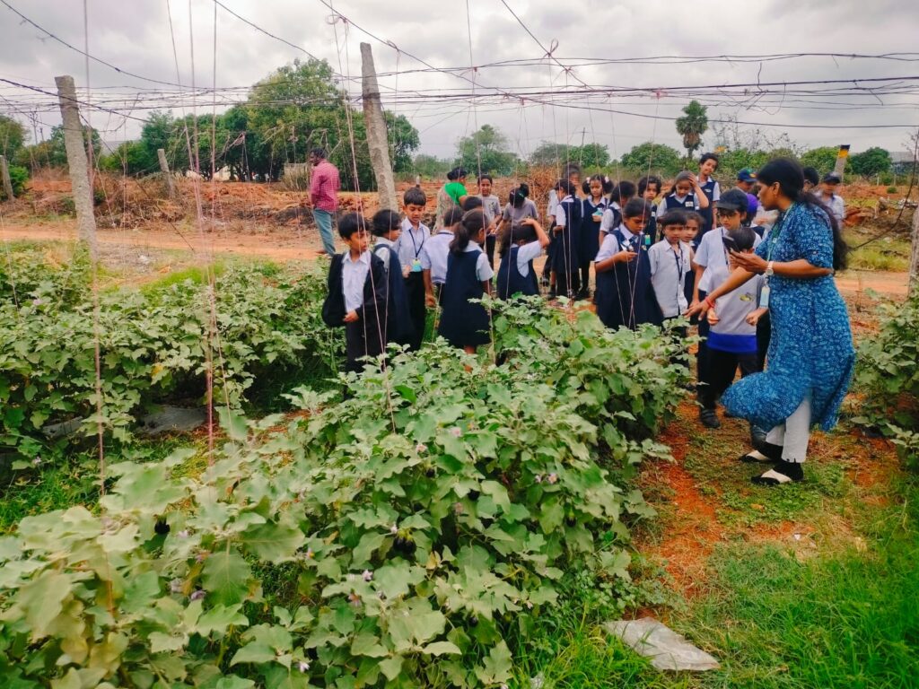 03rd July 26- Grades 2& 3 Field Trip to Goshala
