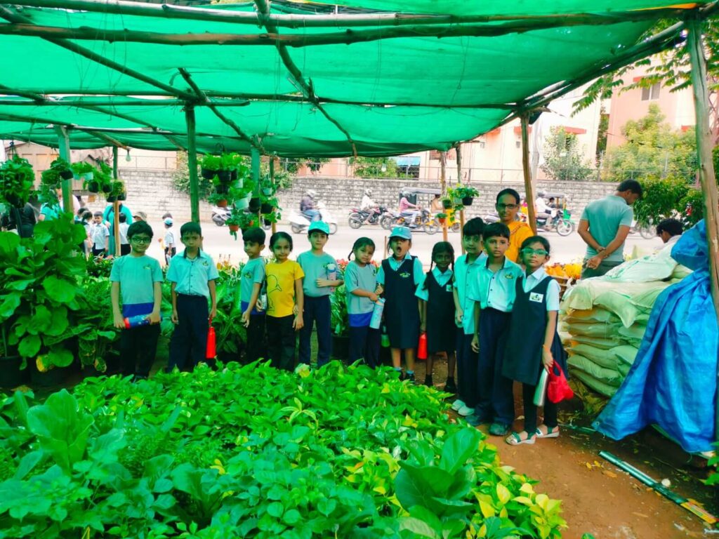 7th July, 2026, Toddlers & Year 1 Field Trip