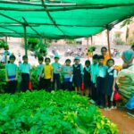 7th July, 2026, Toddlers & Year 1 Field Trip