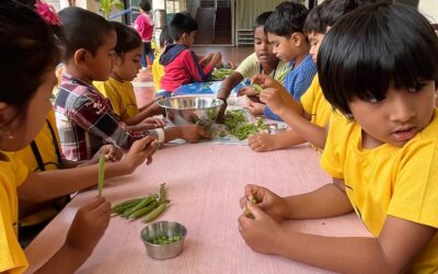 PM- Peas Peeling Activity